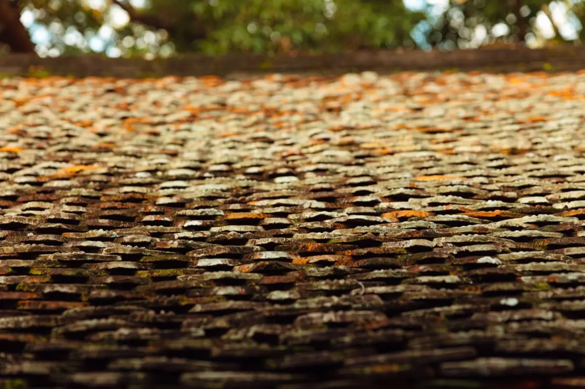 Aging shingle roof with moss growth and granule loss in Stephenville, TX